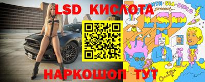 индика Гудермес