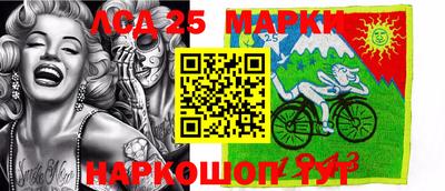 индика Гудермес