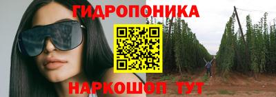 индика Гудермес